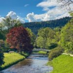 Baden-Baden: Guided tour along Lichtentaler Allee - Authentic Reviews and Insights