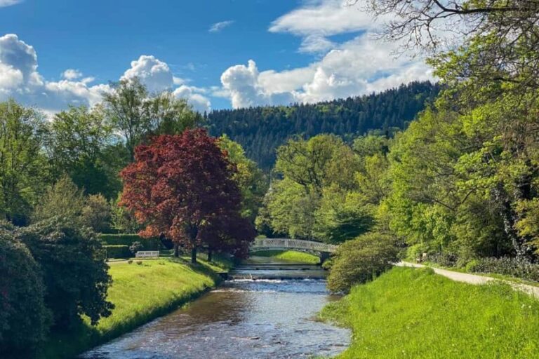 Baden-Baden: Guided tour along Lichtentaler Allee - Authentic Reviews and Insights