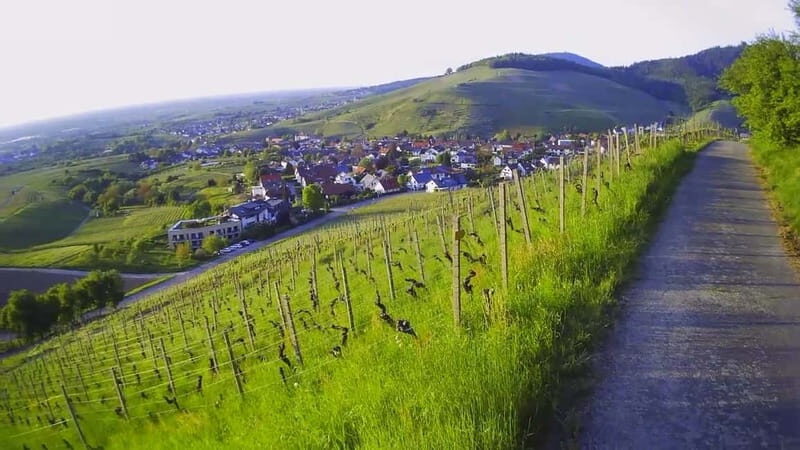 Baden-Baden: Private e-Mountainbike Tour with local Guide - The Practical Details: Costs, Duration, and More