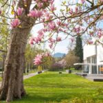 Baden-Baden: Sightseeing Highlights Guided Walking Tour - FAQs