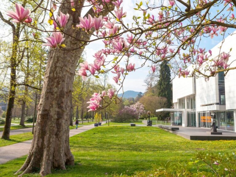 Baden-Baden: Sightseeing Highlights Guided Walking Tour - FAQs