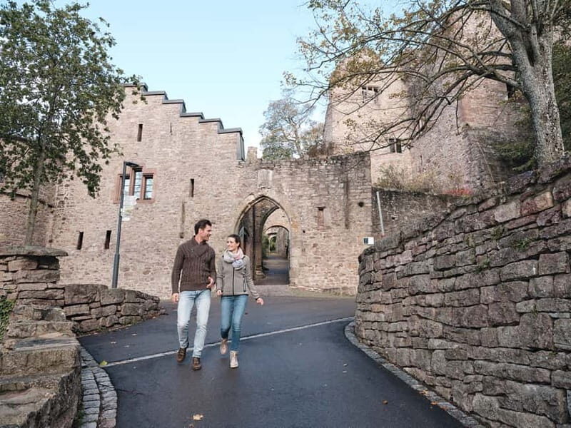 Baden-Baden: Wanderung mit dem Schwarzwald-Guide - What’s Included and Practical Details