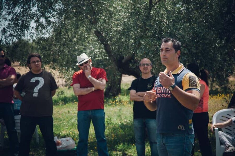 Baeza: Visit to an Organic Olive Grove + Oil Tasting - The Practical Details