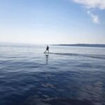 Baka Voda: Electric Surfboard Rental with Instructor - The Experience Itself