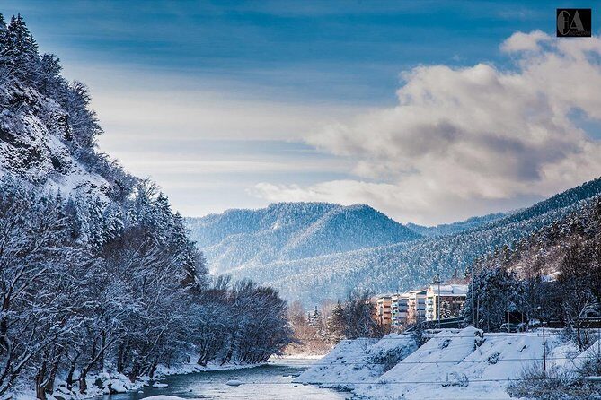 Bakuriani-Borjomi full day trip - Who Is This Tour Best For?