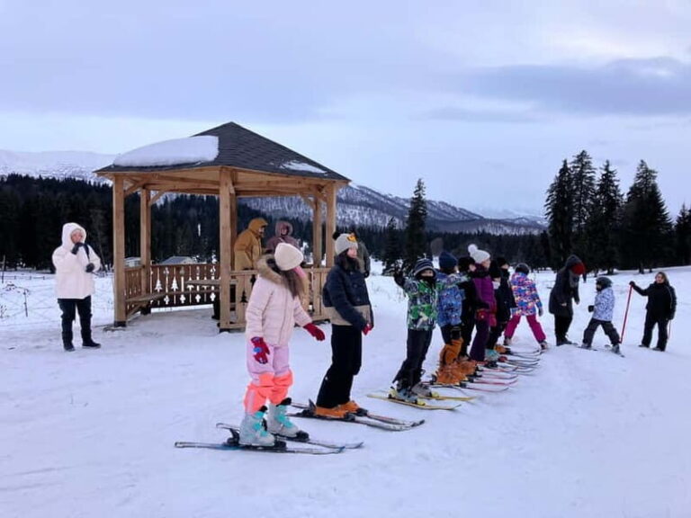 Bakuriani: Private or group Ski Lesson - The Experience and Atmosphere