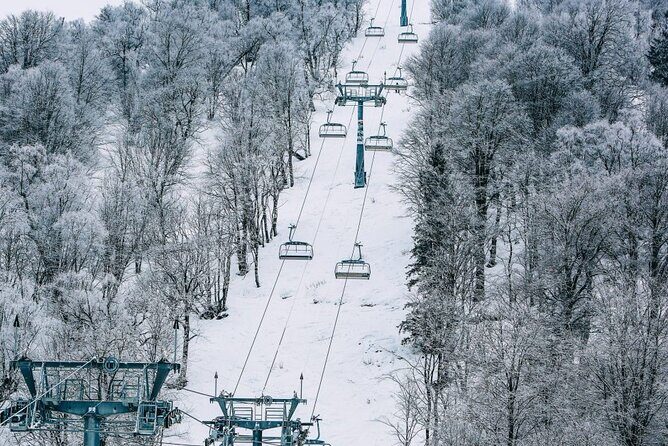 Bakuriani Ski Resort Private Day Tour from Tbilisi Snow Adventure - Who Is This Tour Best For?