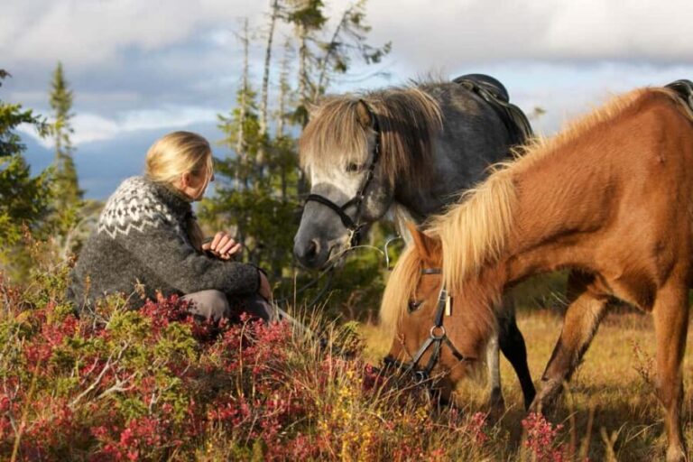 Bakvattnet: Pack horse trekking tour in Blomsterkogen - What Is the Pack Horse Trekking Tour Really Like?