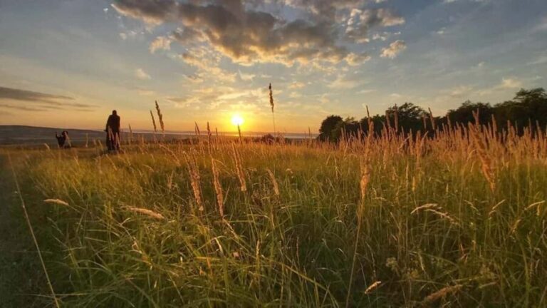 Balaton: Sunset Safari & Solar Telescope Experience for Two - Starting Point and Journey Into Nature