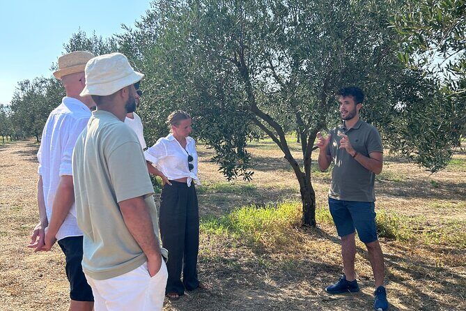 Balestrate Olive Grove Tour: Wine and Olive Oil Tasting - How This Tour Balances Value and Experience