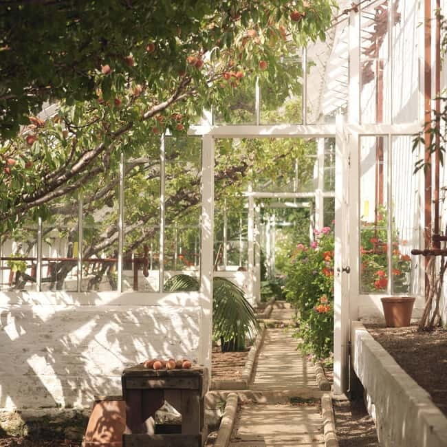 Ballymena: Walled Garden and Woodland Walk Entry Ticket - What can you expect during your visit?