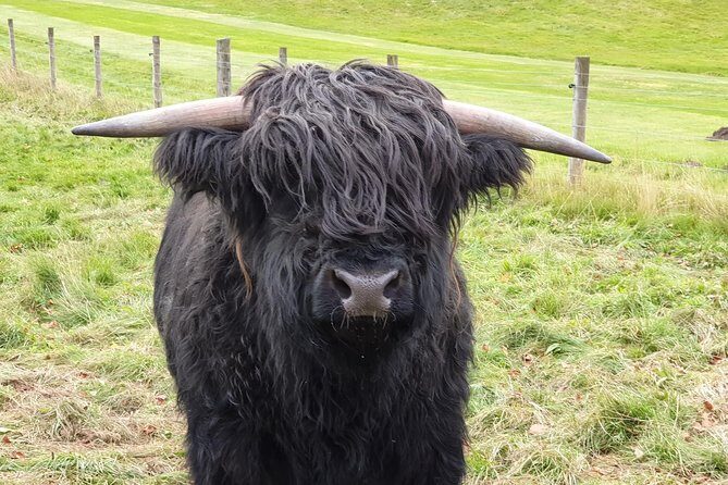 Balmoral Castle Tour From Inverness - Final Thoughts: Is This Tour Right for You?