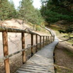 Baltic Sea Coastal Scenery and Cape Kolka From Riga - The Itinerary Breakdown