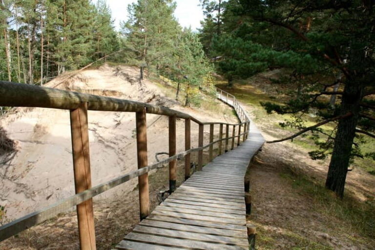 Baltic Sea Coastal Scenery and Cape Kolka From Riga - The Itinerary Breakdown