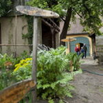 Bamberg: Guided Tour of the Gardeners' District - Who Should Consider This Tour?