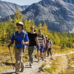 Banff National Park Guided Hike with Lunch - Who Will Love This Tour?