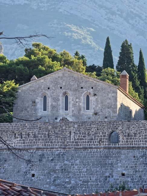 Bar: City Tour with Museum and Old Olive Tree Visit - Practicalities: What You Should Know