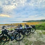 Bar Harbor: Acadia National Park Carriage Roads Ebike Tour - The Experience on the Ground