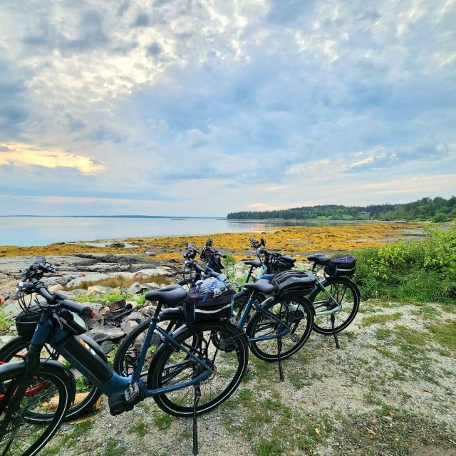 Bar Harbor: Acadia National Park Carriage Roads Ebike Tour - The Experience on the Ground