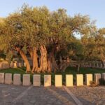 Bar, Montenegro: Shore Excursion with Skadar Lake Cruise - Transportation and Group Size