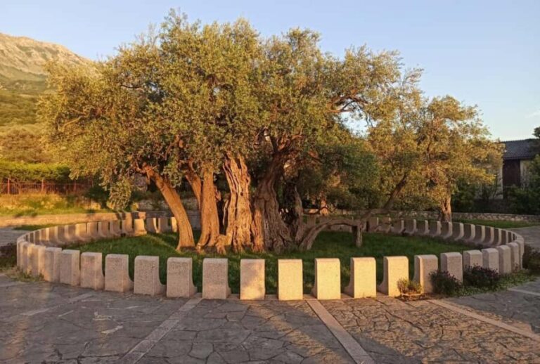 Bar, Montenegro: Shore Excursion with Skadar Lake Cruise - Transportation and Group Size