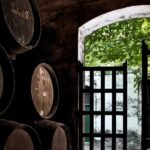 Barbadillo Winery Guided Tour in Cadiz with Wine Tasting - Practical Details and Considerations