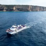 Barbate: Dolphin and Whale Watching in Cape Trafalgar - Who Should Consider This Tour?