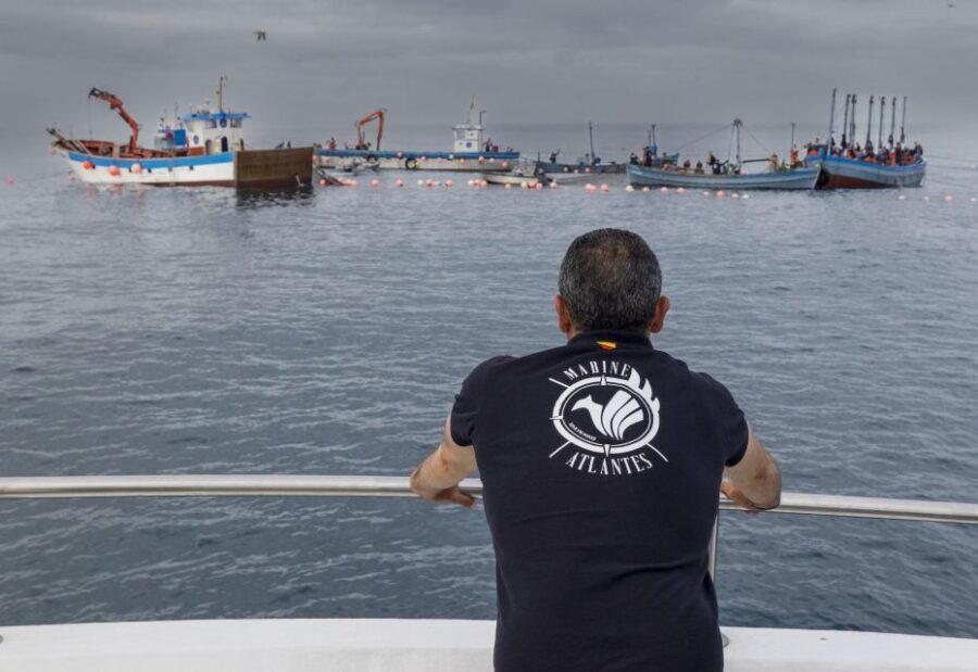 Barbate: La Breña Natural Park and Cape Trafalgar Boat Trip - The Natural Park of La Breña