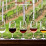 Barcelona: Besalú, Figueres, and Girona Day Trip with Lunch - Transportation, Price, and Overall Value