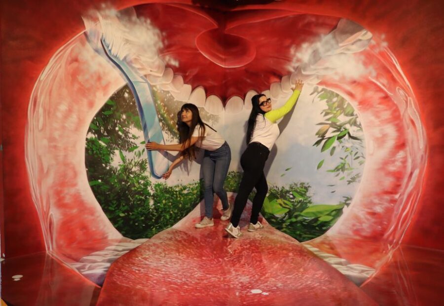 Barcelona: Big Fun Museum & Museum of Illusions Ticket Combo - Who Should Consider This Experience?