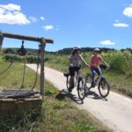 Barcelona: Bike & Wine Guided Tour - Penedès vineyards - Who Is This Tour Best For?