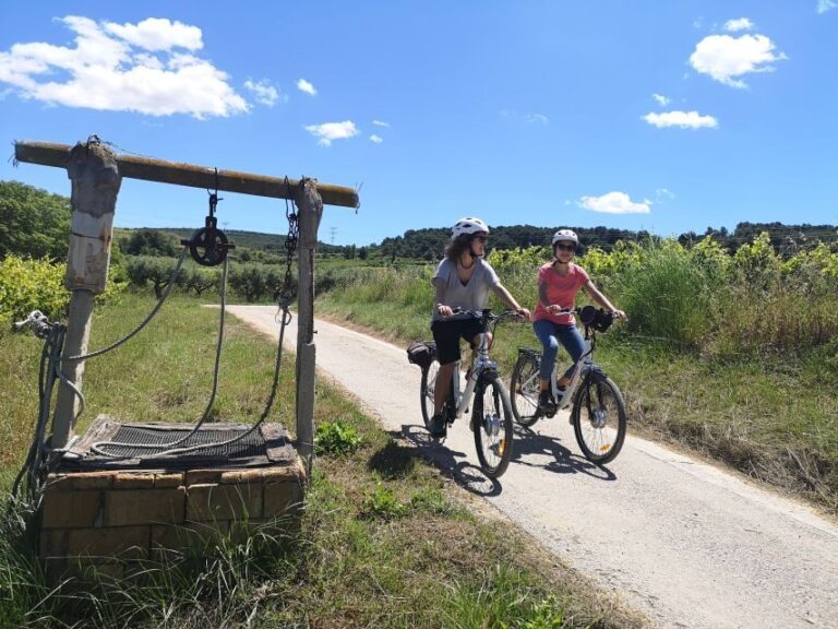 Barcelona: Bike & Wine Guided Tour - Penedès vineyards - Who Is This Tour Best For?