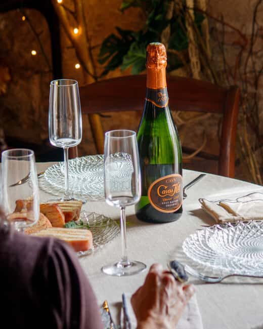 Barcelona: Cavas Hill Winery Tour with Catalan Brunch - The Vineyard Walk: A Touch of Nature and Tradition