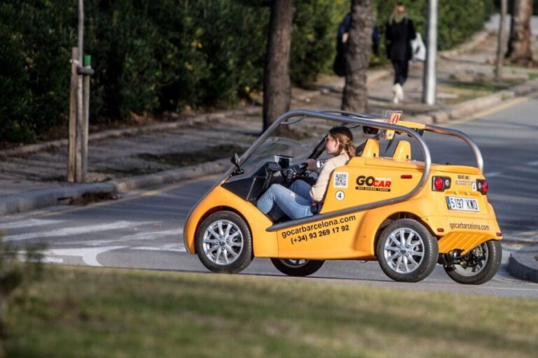 Barcelona: City Center and Olympic Park GoCar Experience - The Vibe and Real Traveler Feedback
