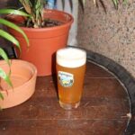 Barcelona: Craft Beer Tasting with local Brewery Owner - The Beers You’ll Taste and How They Make the Experience Special