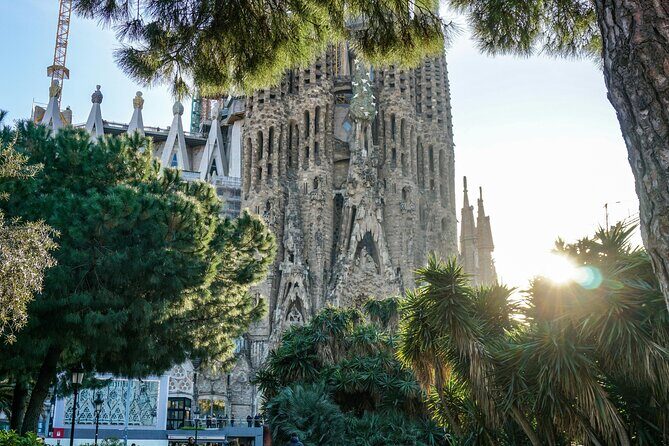 Barcelona: Guided City Tour by Local Transport - Practical Considerations