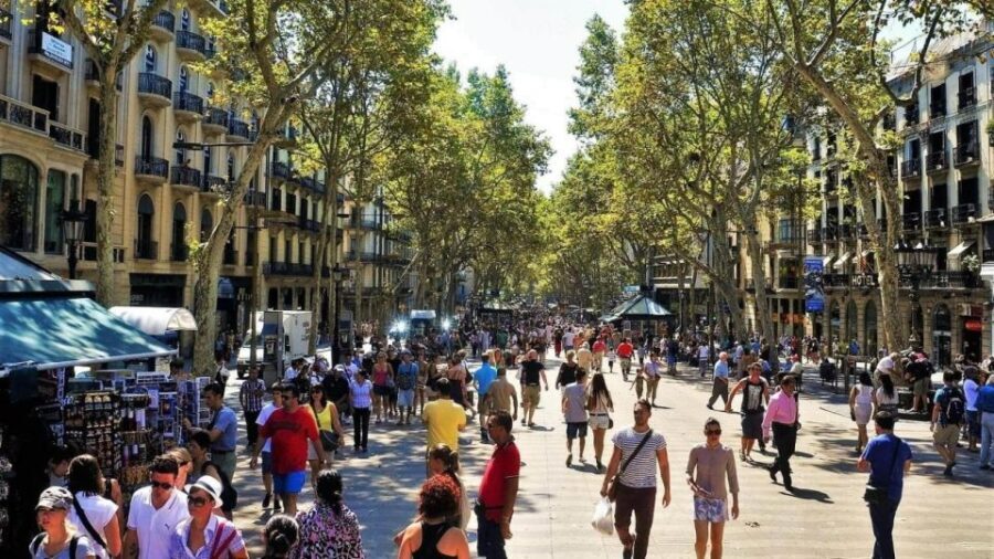 Barcelona Historic Guided Tour - Authentic Visitor Perspectives