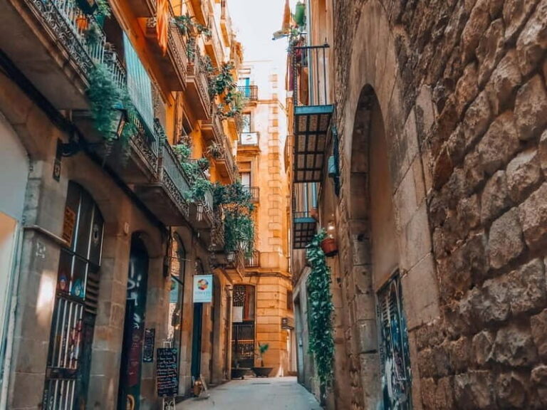 Barcelona: Introduction to the Gothic Quarter Walking Tour - What We Like (and What to Consider)