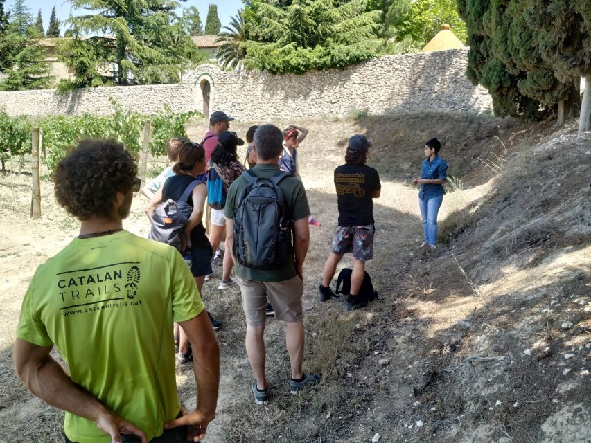 Barcelona: Montserrtat Hike and Winery Tour with Tasting - The Scenic Hike in Montserrat National Park