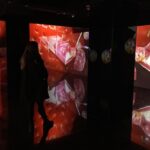 Barcelona: Nougat and Chocolate Museum Tour with Tasting - What to Expect from the Tour