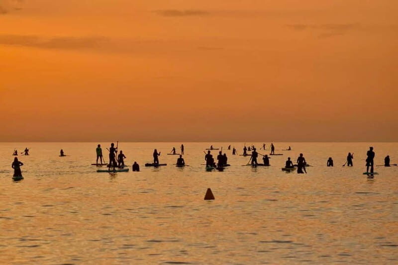 Barcelona: Paddleboarding at Sunrise Includes: teacher, photos, and materials - Who Will Love This Experience?