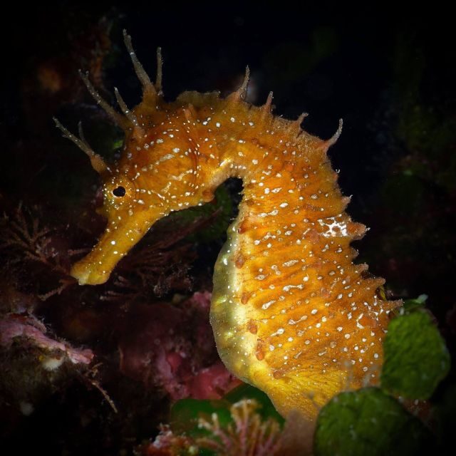 Barcelona: PADI Discover Scuba Diving - The Practicalities: Planning Your Dive