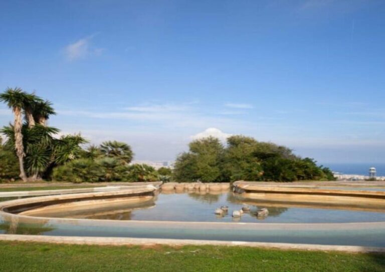 Barcelona: Panoramic Tour by car - What This Tour Means for You