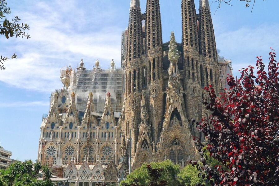 Barcelona & Park Güell: Private Half-Day Tour with Pickup - What Travelers Say