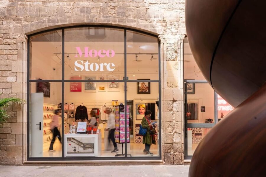 Barcelona: Picasso Museum Tour with Moco Museum Ticket - Who Will Enjoy This Tour?