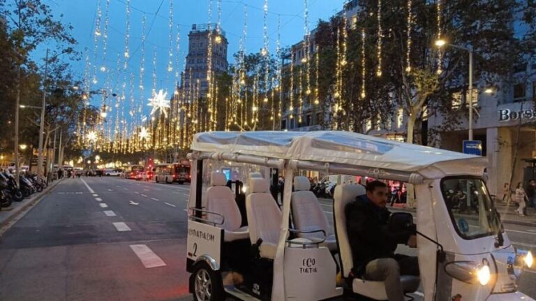 Barcelona: Private Christmas Lights Tour by Eco Tuk Tuk - Final Thoughts
