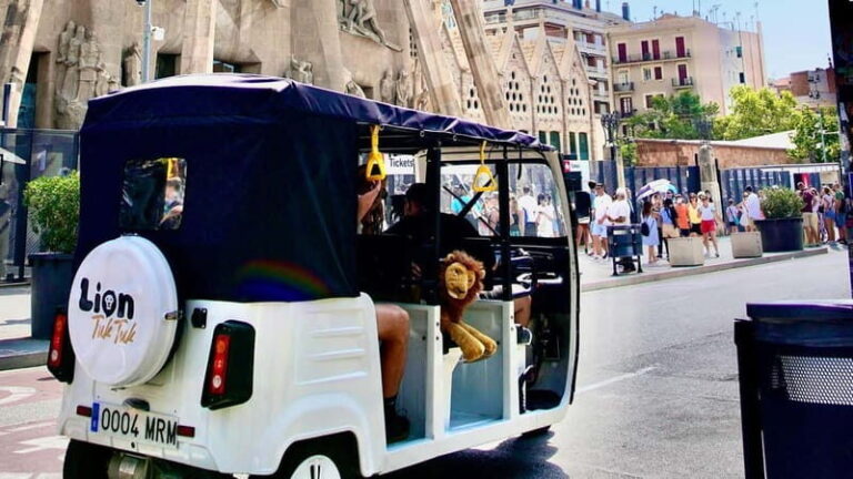 Barcelona: Private Hop-On Hop-Off Lion Tuk Tuk Tour - The Itinerary and Highlights: What You Can Expect