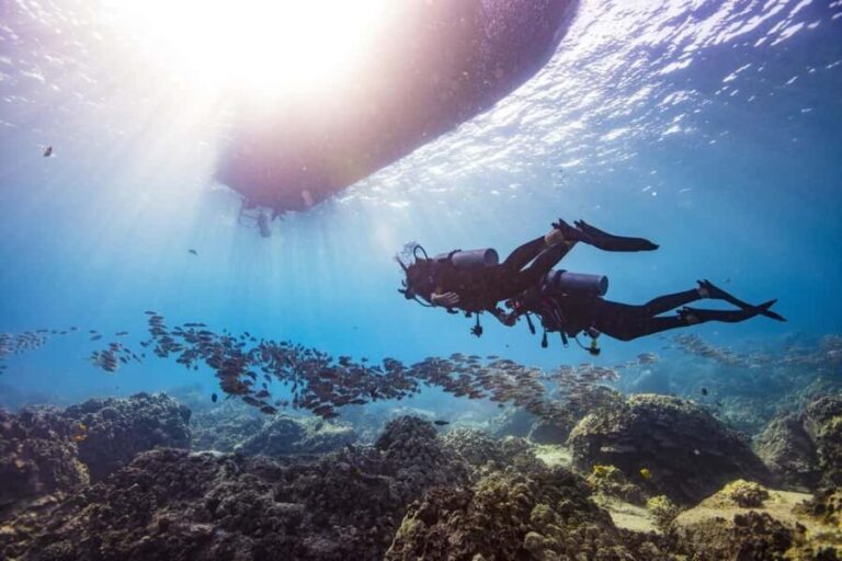 BARCELONA: SCUBA DIVING INITIATION - Dive in and experience underwater adventures - 2 hours - The Real Value of the Tour