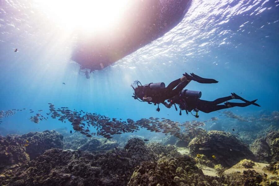 BARCELONA: SCUBA DIVING INITIATION - Dive in and experience underwater adventures - 2 hours - The Real Value of the Tour