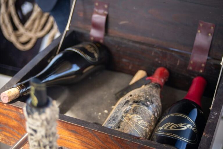 Barcelona: Submarine Winery Wine Tasting and Sailing Tour - The Experience: What Youll Really Get